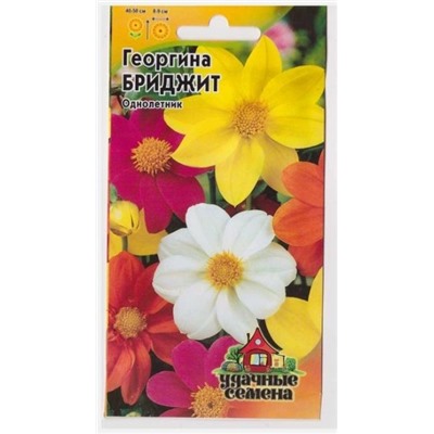 Георгина Бриджит (Код: 68287)
