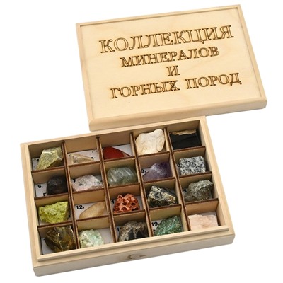 Коллекция минералов и горных пород 20 видов 180*125*45мм