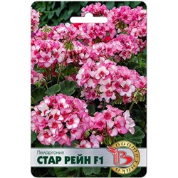 Пеларгония Стар Рейн F1 (Биотехника)