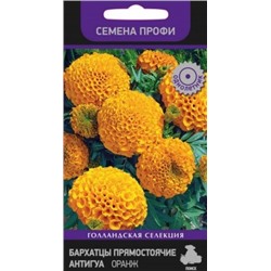 Цв.Барх.Антигуа Оранж низ. (Поиск) 15шт