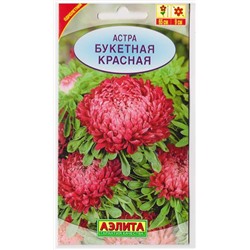 Астра Букетная Красная (Код: 15529)
