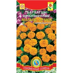 Цв.Барх.Малыш Оранж (Плазма) 30шт