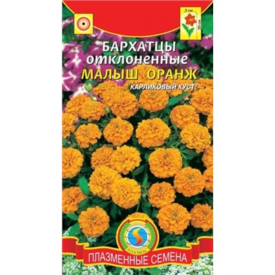 Цв.Барх.Малыш Оранж (Плазма) 30шт