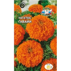 Цв.Барх.Гавайи прямос. выс. (Седек) 0,2г