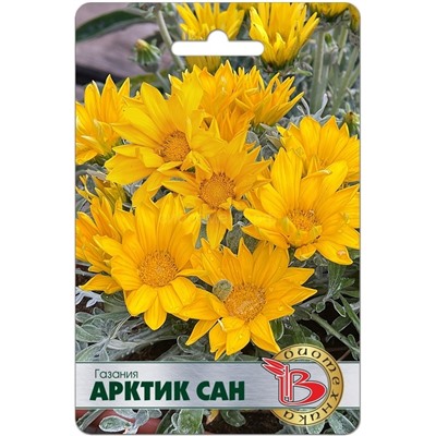 Гацания Арктик Сан серебристолистная (Биотехника) Скидка (срок 12.2025)