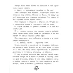 Зуля Стадник: 41-я кошка