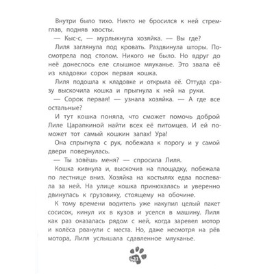 Зуля Стадник: 41-я кошка