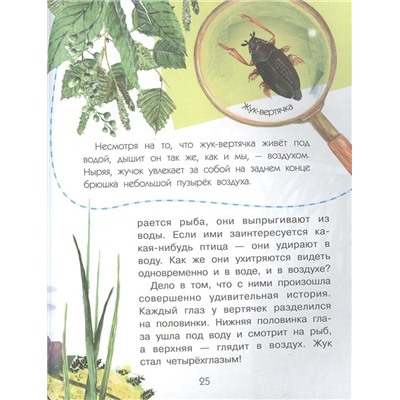 Сколько глаз у стрекозы?