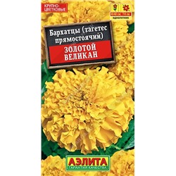Бархатцы Золотой Великан прямостоячие (Аэлита)