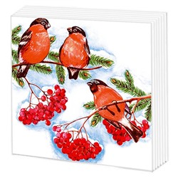 Салфетки бум. 2-х-сл. 33*33 20шт. Фреско  НГ Снегири