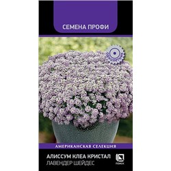 Алиссум Клеа Кристал Лавендер Шейдес (П)