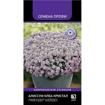 Алиссум Клеа Кристал Лавендер Шейдес (П)
