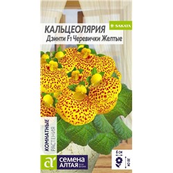 Кальцеолярия Дэинти Черевички желтые (Алтай)