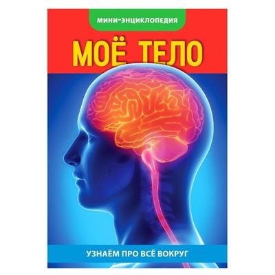 Мини-энциклопедия «Моё тело», 20 стр.