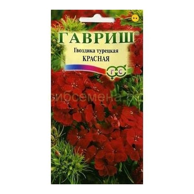 Гвоздика турецкая красная (Гавр)