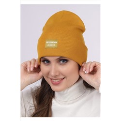 Шапка CLEVER #839439