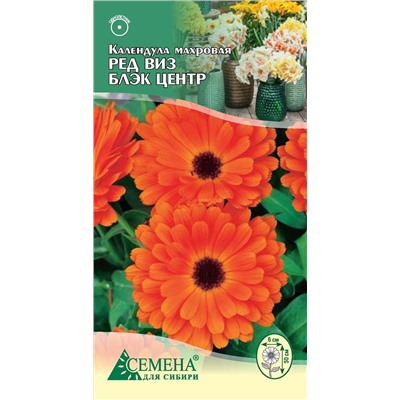 Календула Рэд виз блэк центр махр, 0,4г (цв.)