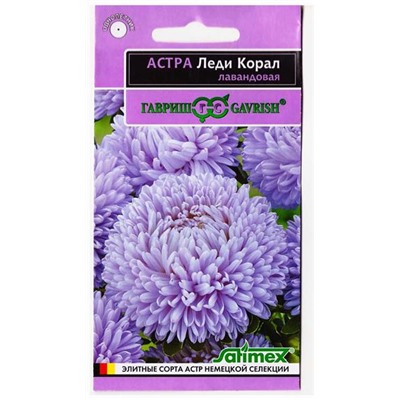 Астра Леди Коралл Лавандовая (Код: 78625)