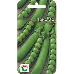Горох Тристар (Сиб.сад) 20шт