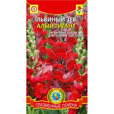 Львиный зев Алый гигант (Код: 91090)