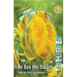 Тюльпан Ян Ван Нес Пэррот 7шт (ИС)