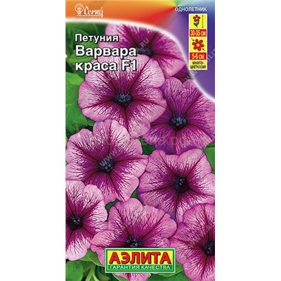 Петуния Варвара Краса F1 многоцветковая (Аэлита)