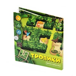 Магнитная головоломка «Тропики»