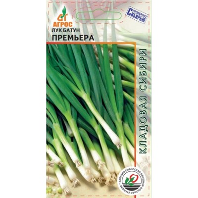 Лук Батун Премьера (Агрос) 1г