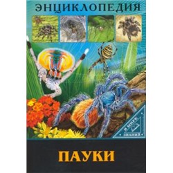 Энциклопедия в мире знаний. Пауки