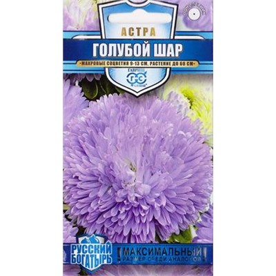 Астра Голубой Шар (Код: 84819)