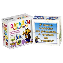 Детские пластмассовые кубики с картинками и загадками «Букашечки» (4 штуки)