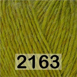 Пряжа Gazzal Boogie