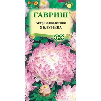 Астра Яблунева (Гавр)