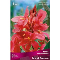Канна Сити ов Портленд 1шт (Поиск)
