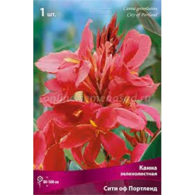 Канна Сити ов Портленд 1шт (Поиск)
