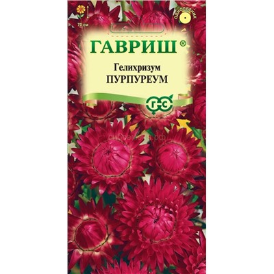 Гелихризум Пурпуреум (Гавр)