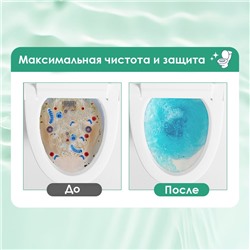 Таблетки очищающие для сливного бачка унитаза ГАРДЕНИЯ, набор 4 шт. по 50 гр.