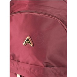 Рюкзак жен текстиль JLS-MZ-911,  1отд,  5внеш+3внут карм,  слива 256416