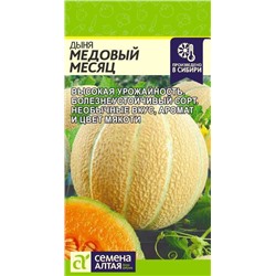 Дыня Медовый месяц (Алтай)
