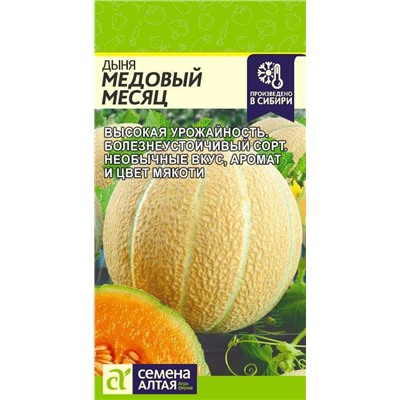 Дыня Медовый месяц (Алтай)