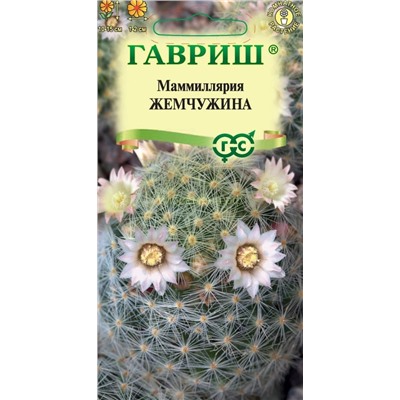 Кактус Маммиллярия шейдвелардиана Жемчужина (Гавр)