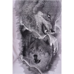 Футболка 4988