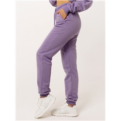 Брюки с начёсом ФЛ-1 лиловый