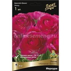 Лютик Романс Меркури 1шт (Поиск)