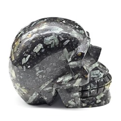 Череп из камня хризантем 77*48*61мм, 368г.