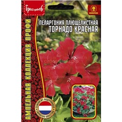Пеларгония Торнадо Красная плющелистн (Редкие)