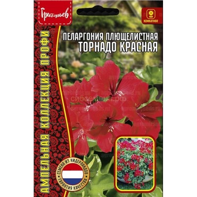 Пеларгония Торнадо Красная плющелистн (Редкие)