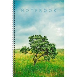 Тетрадь А4 60 л клетка  спираль для конспектов  LANDSCAPE (белый лист) Эксмо ТС4604935