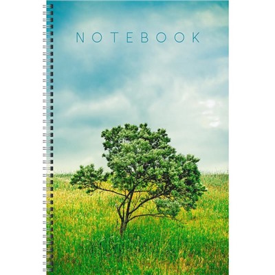 Тетрадь А4 60 л клетка  спираль для конспектов  LANDSCAPE (белый лист) Эксмо ТС4604935