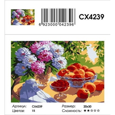 РМ СХ4239, 20х30 см